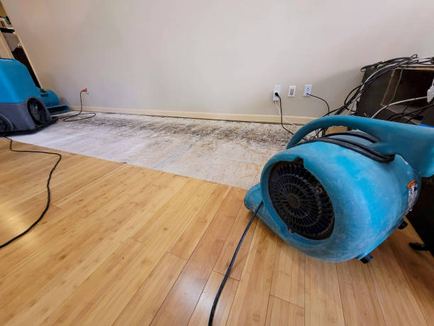Professional Emergency Water Damage technician working in Earling, IA